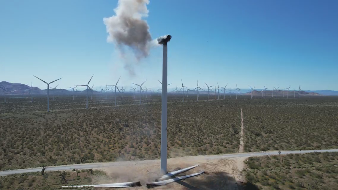 サモワール セール】 【別注】SUPERGA×TOMORROWLAND 2750 レザースニーカー