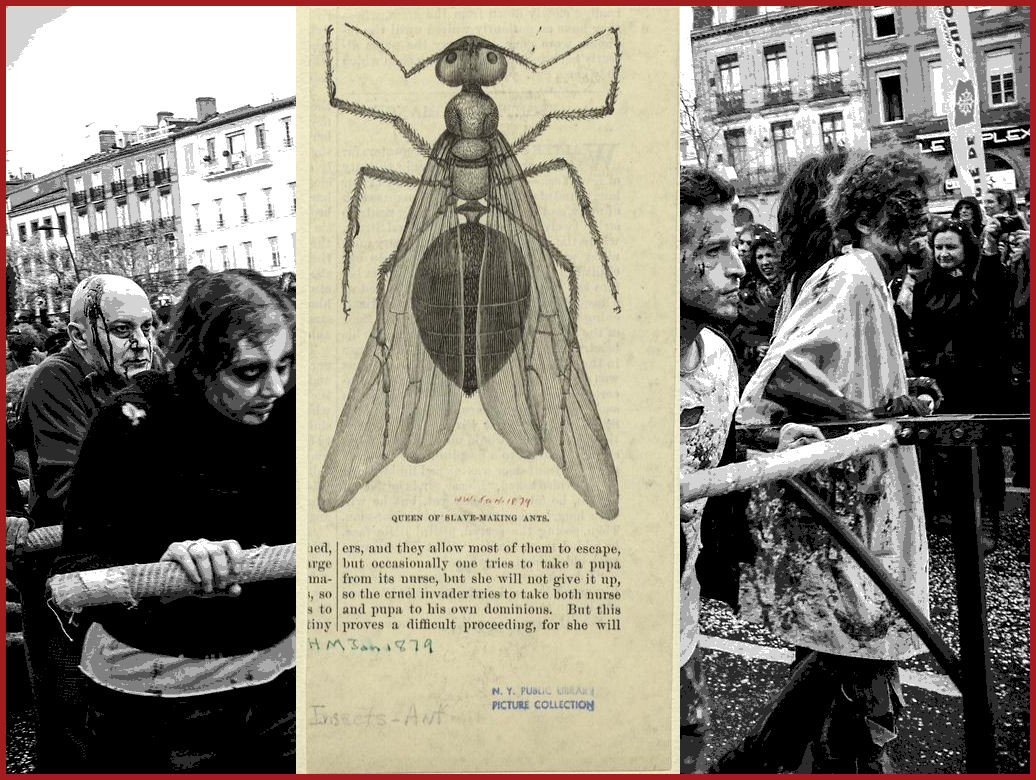 Jobcast 29: The Progress of Parasites