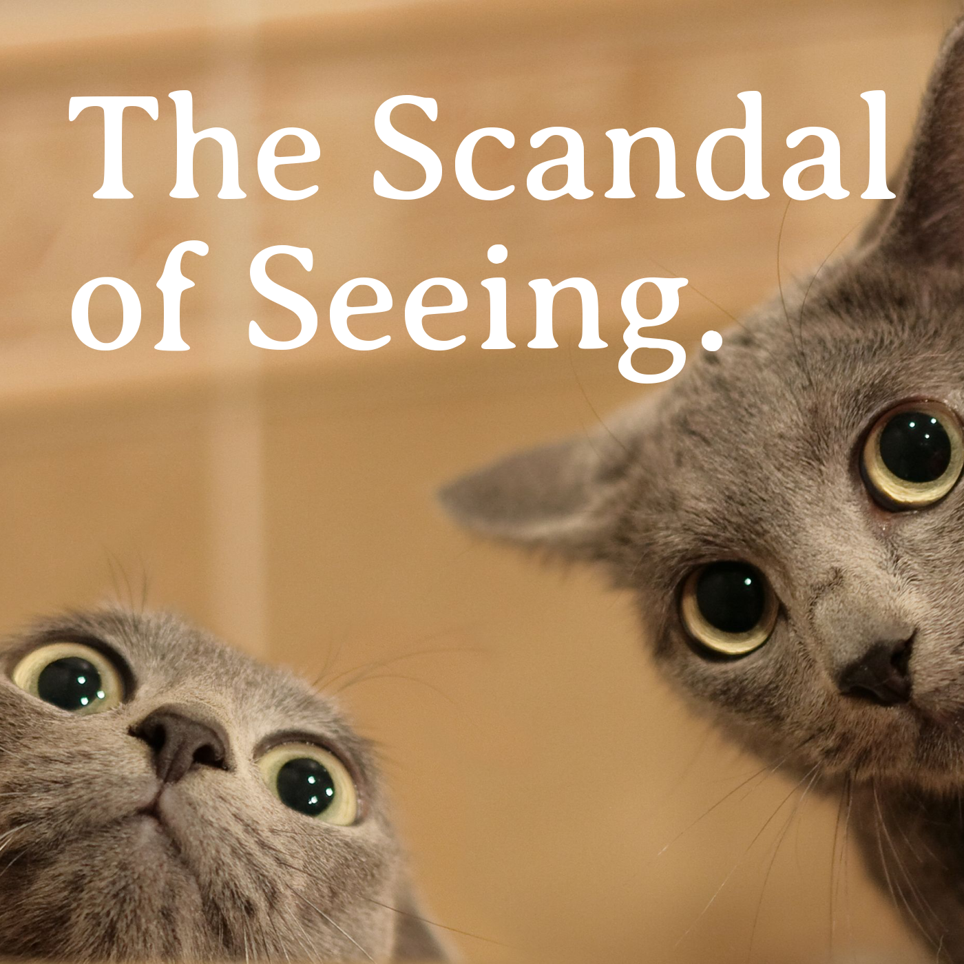 The Scandal of Seeing