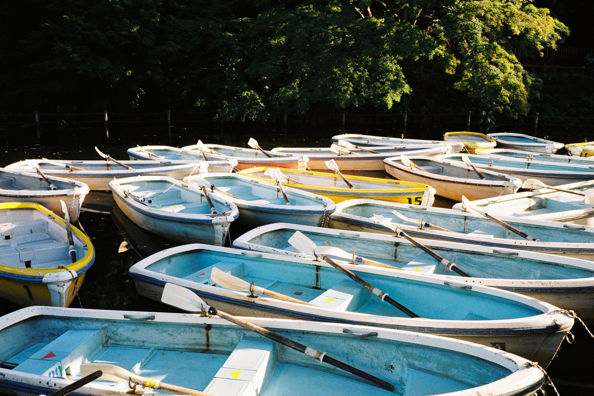 Olympus Stylus Epic in Japan - by Matt Murray