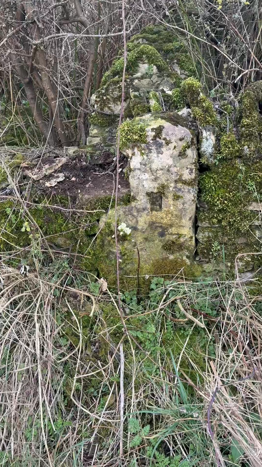 A video post...of a post.