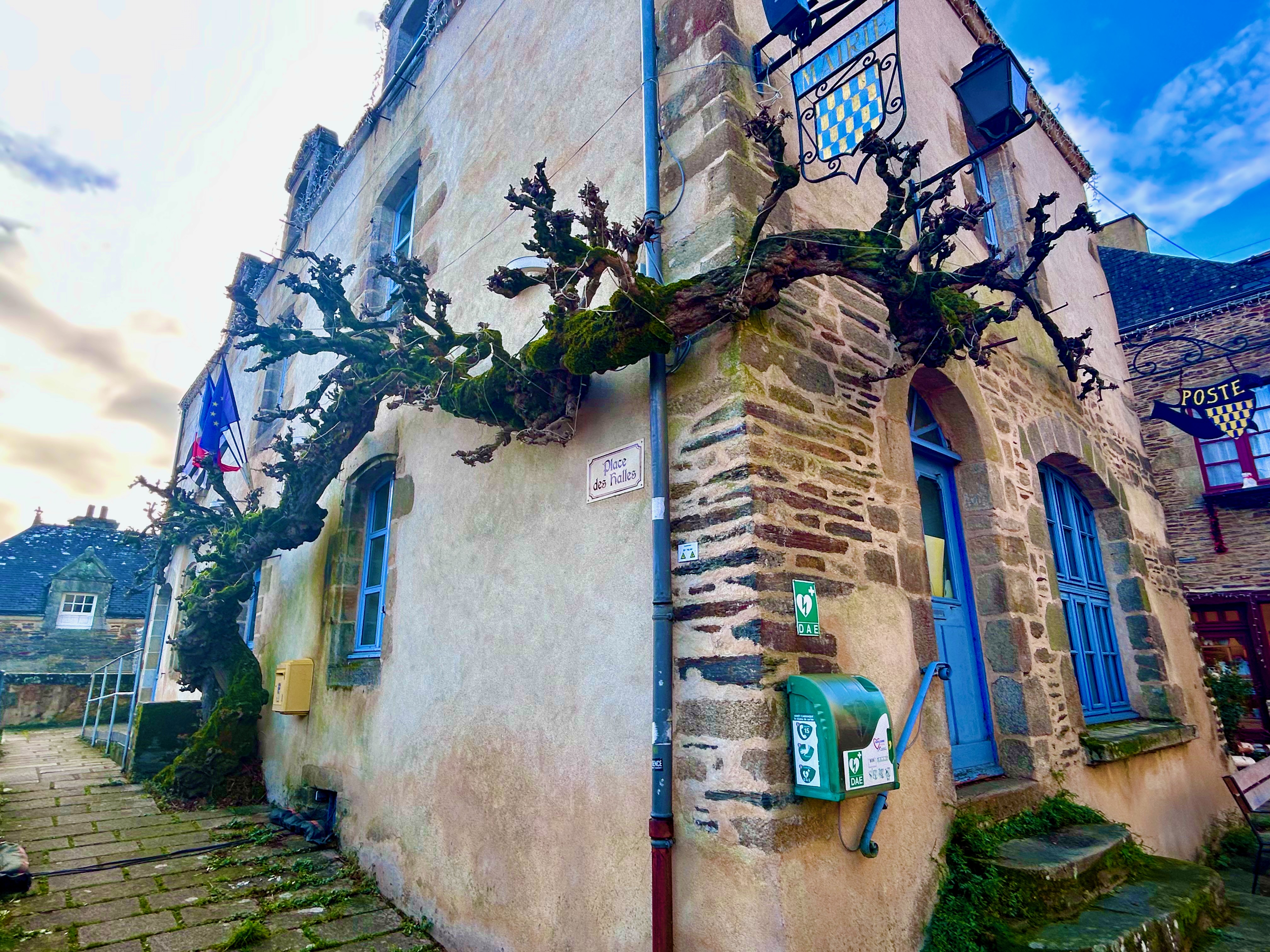 You Can’t Find Yourself If You Don’t Know How to Search