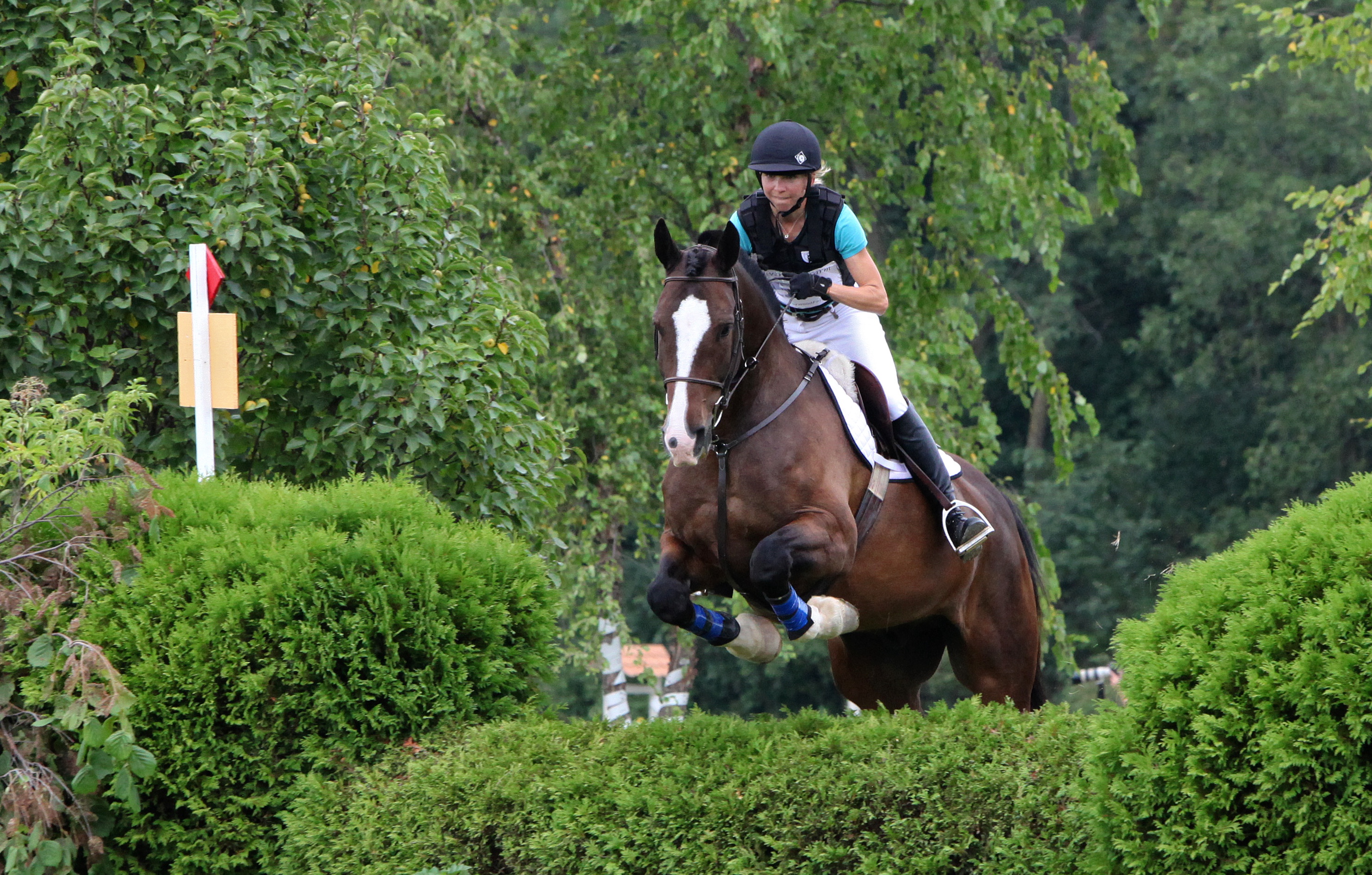 Jack and Paula Curtis on Modern Horsemanship Challenges