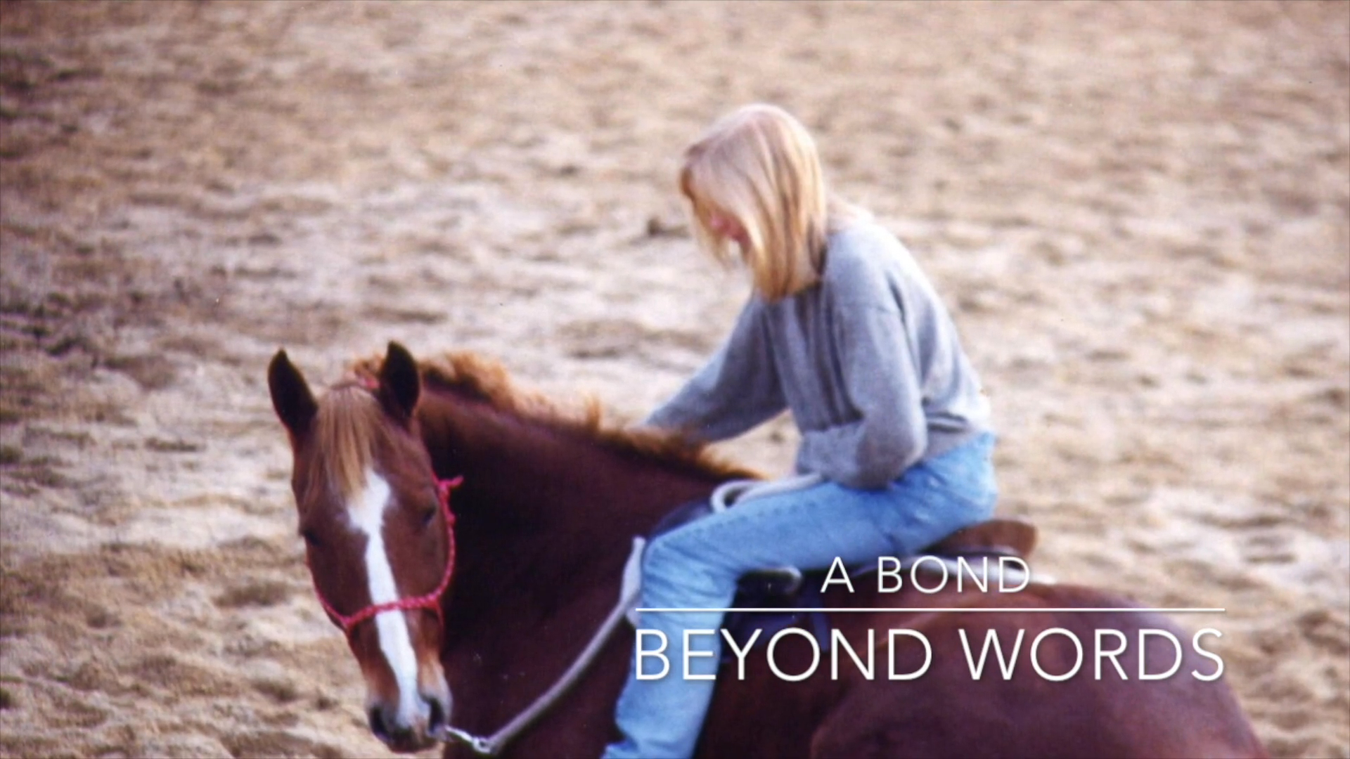 A Workshop in Horse-Centered Horsemanship