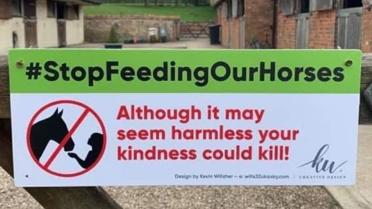 When Strangers Hold Your Horse's Life in Their Hands