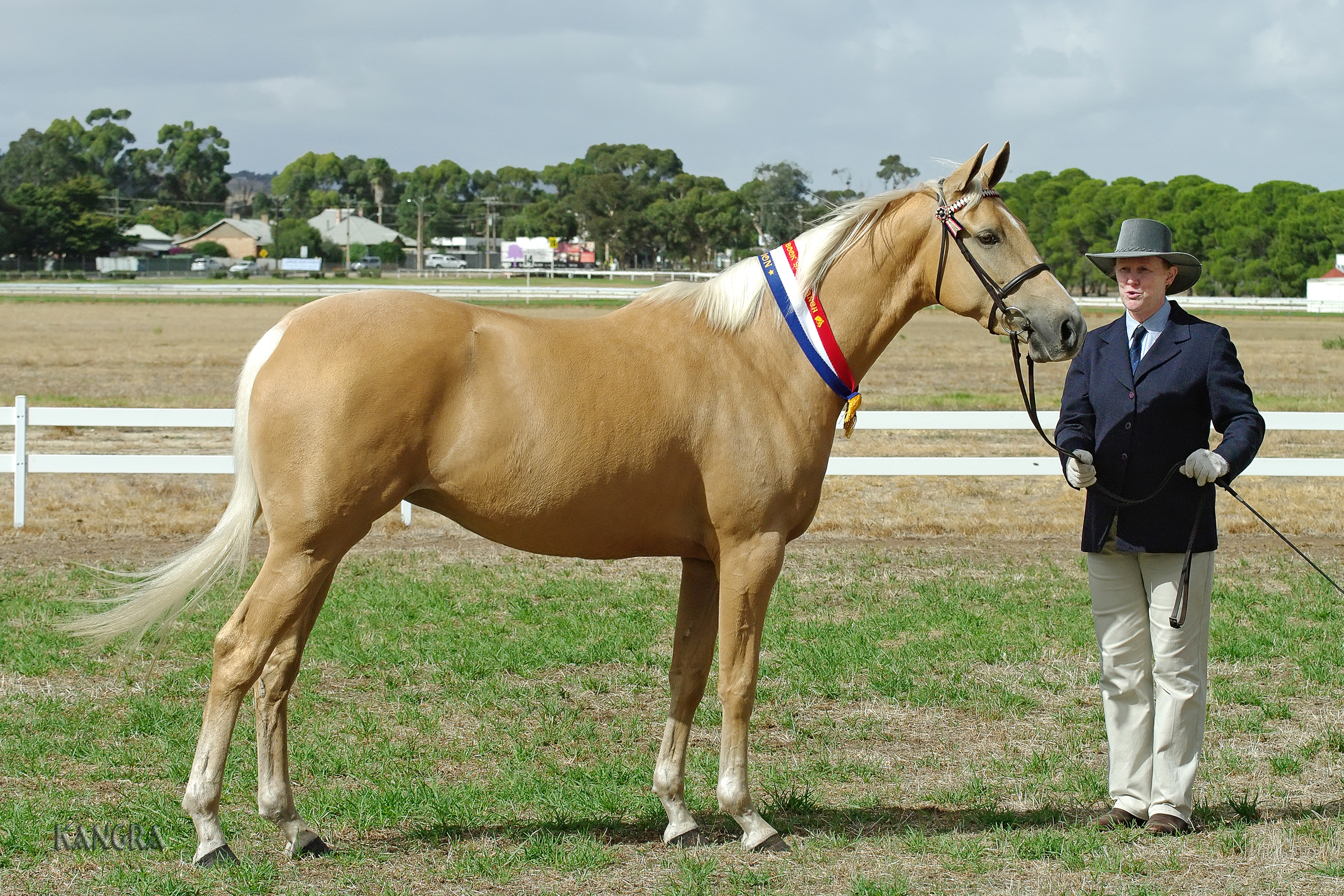 The Forever Home Myth