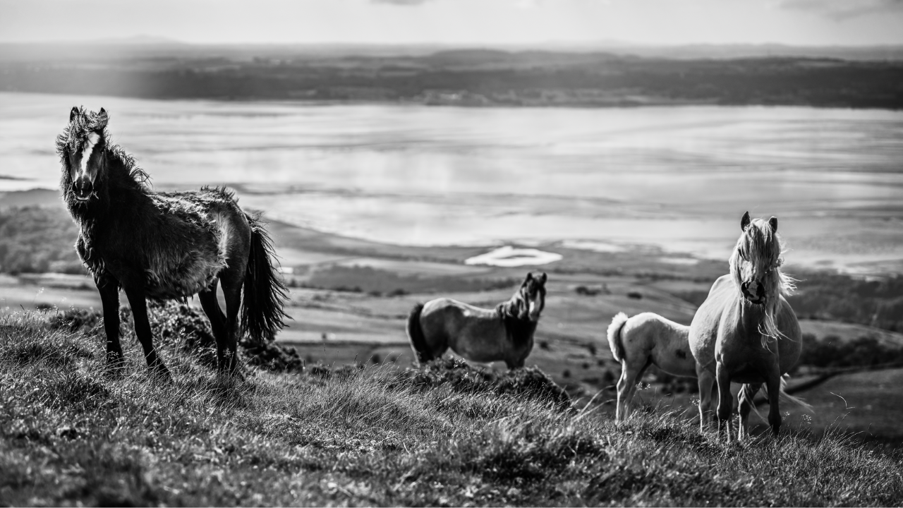 Finding Freedom Through the Lens