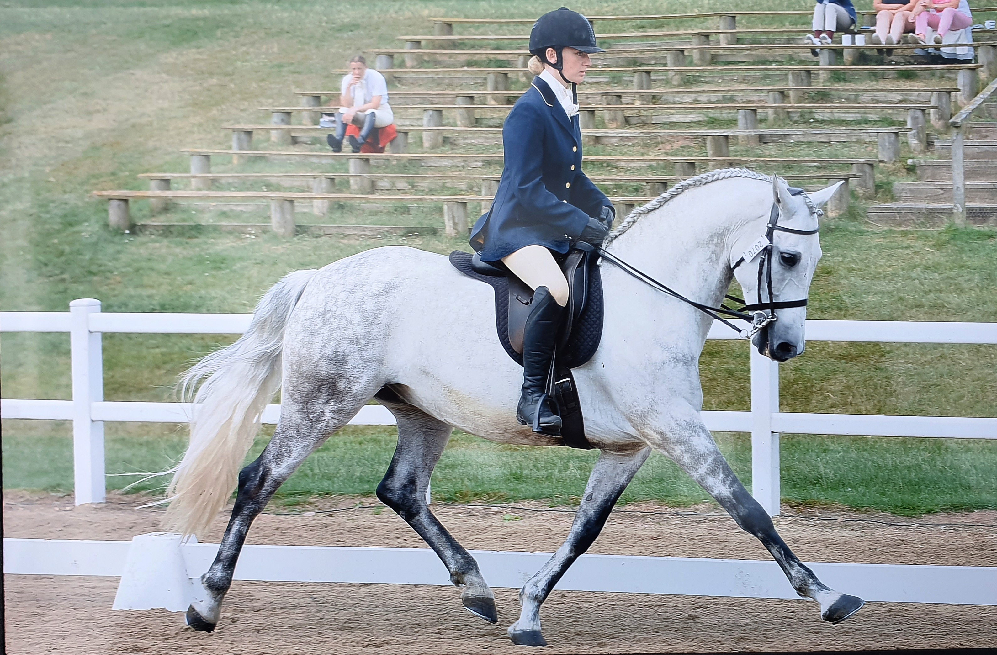 Classical vs Modern Dressage - Finding the Lost Connection