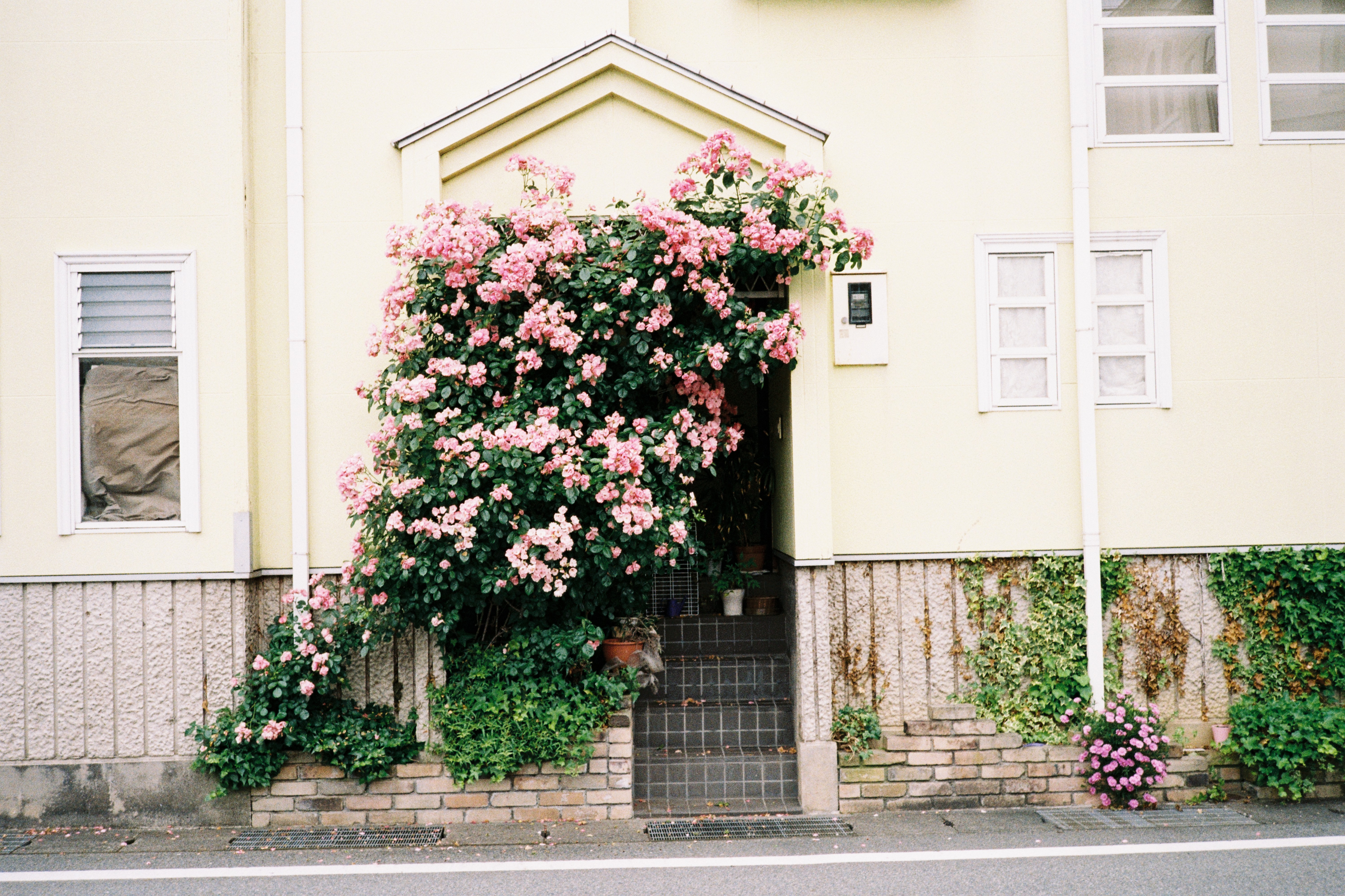 Samu1717さんへ富士フイルムSUPERIA PREMIUM400 x30個 銀塩写真列伝 