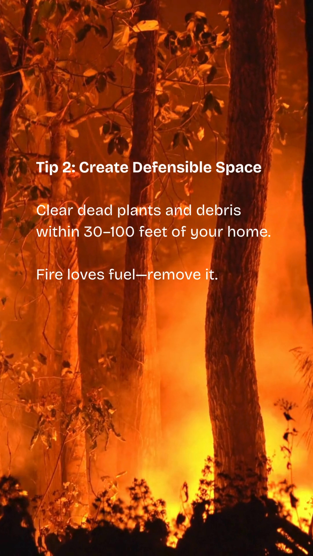 10 Essential Wildfire Preparedness Tips