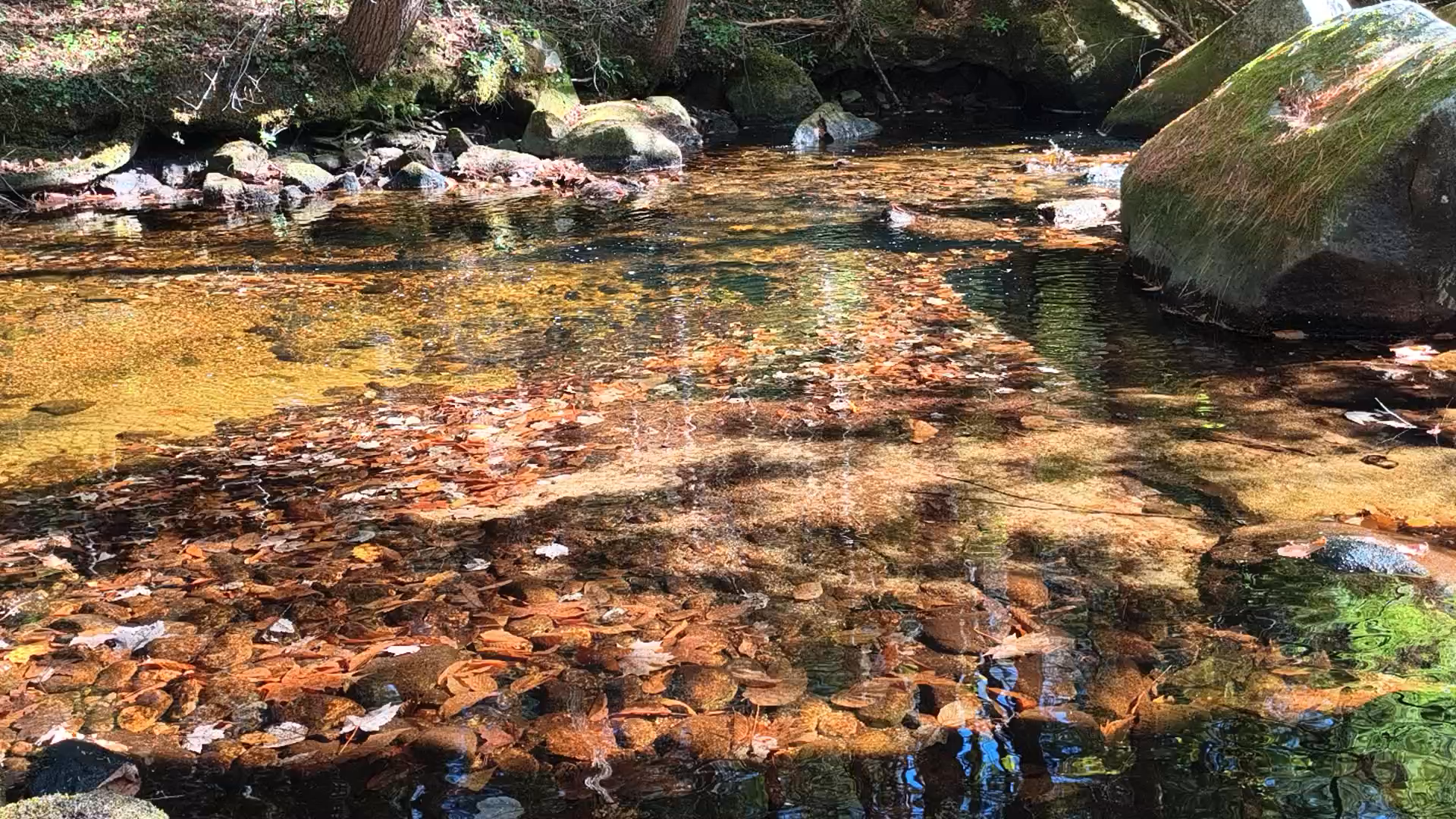 a sacred spot. Part 1