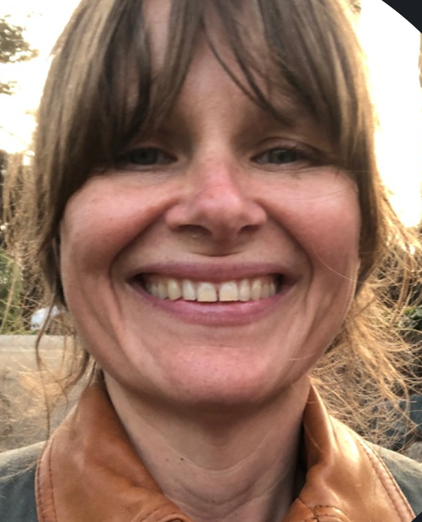 volts.wtf - David Roberts - What's the deal with balcony solar?