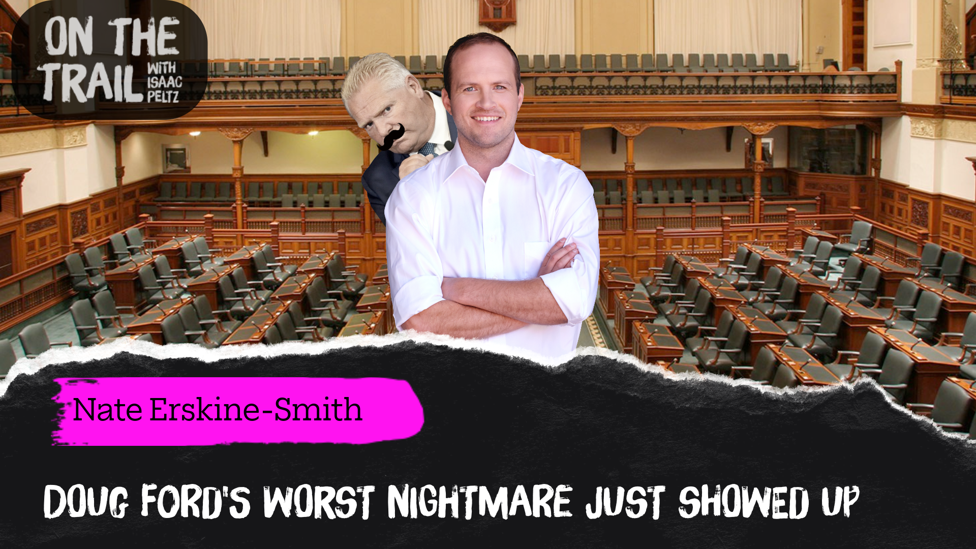 Is Nate Erskine Smith the next leader of the Ontario Liberals?