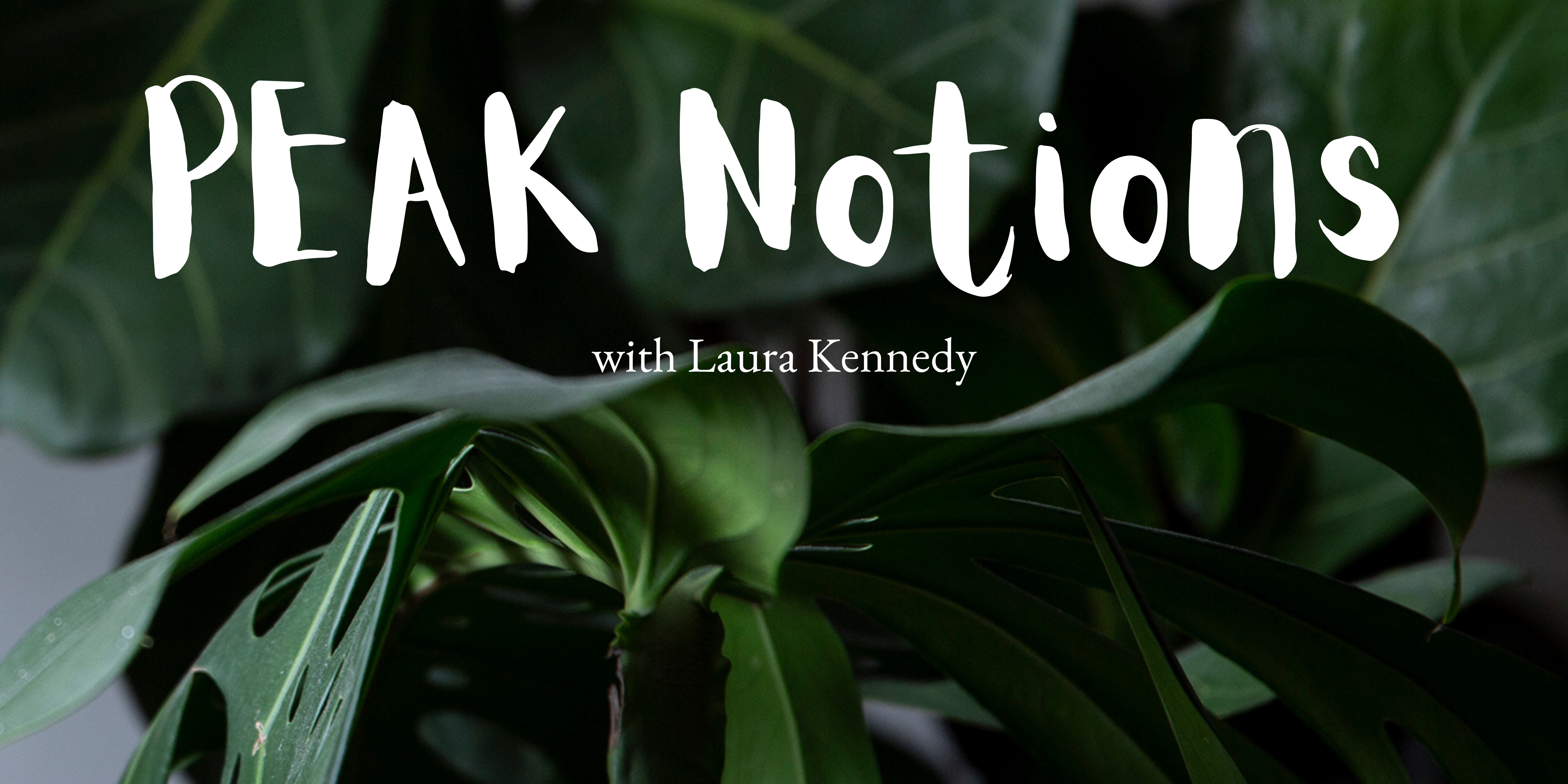 Cover image for No Resolutions