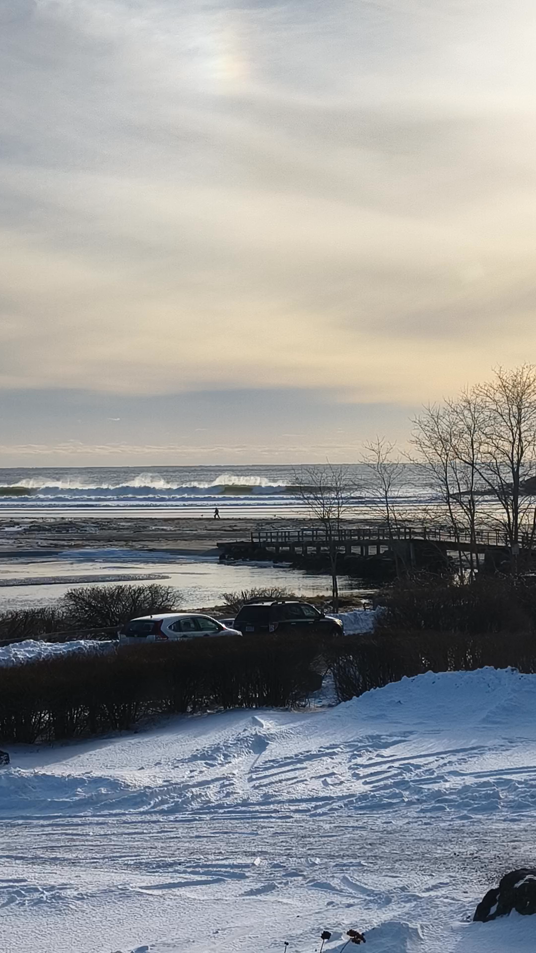 Dedicated to an ocean flow