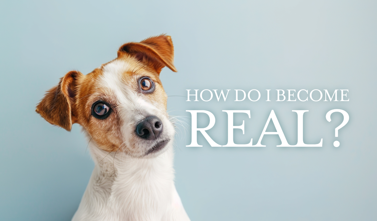 How Do I Become Real?