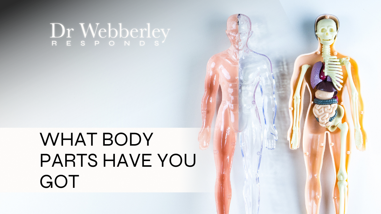 What body parts have you got?