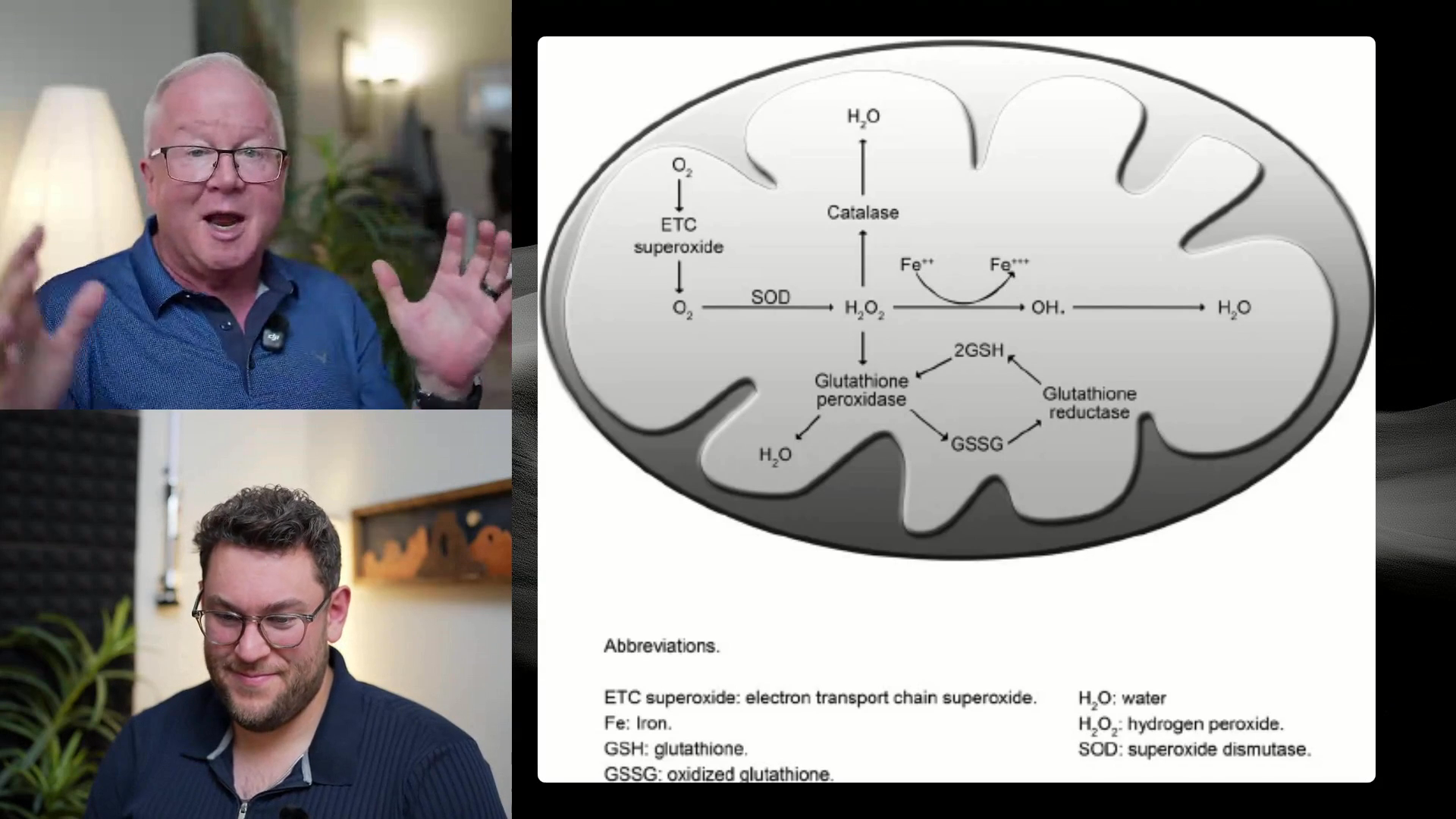 can we take glutathione during periods What To Avoid When Taking Glutathione