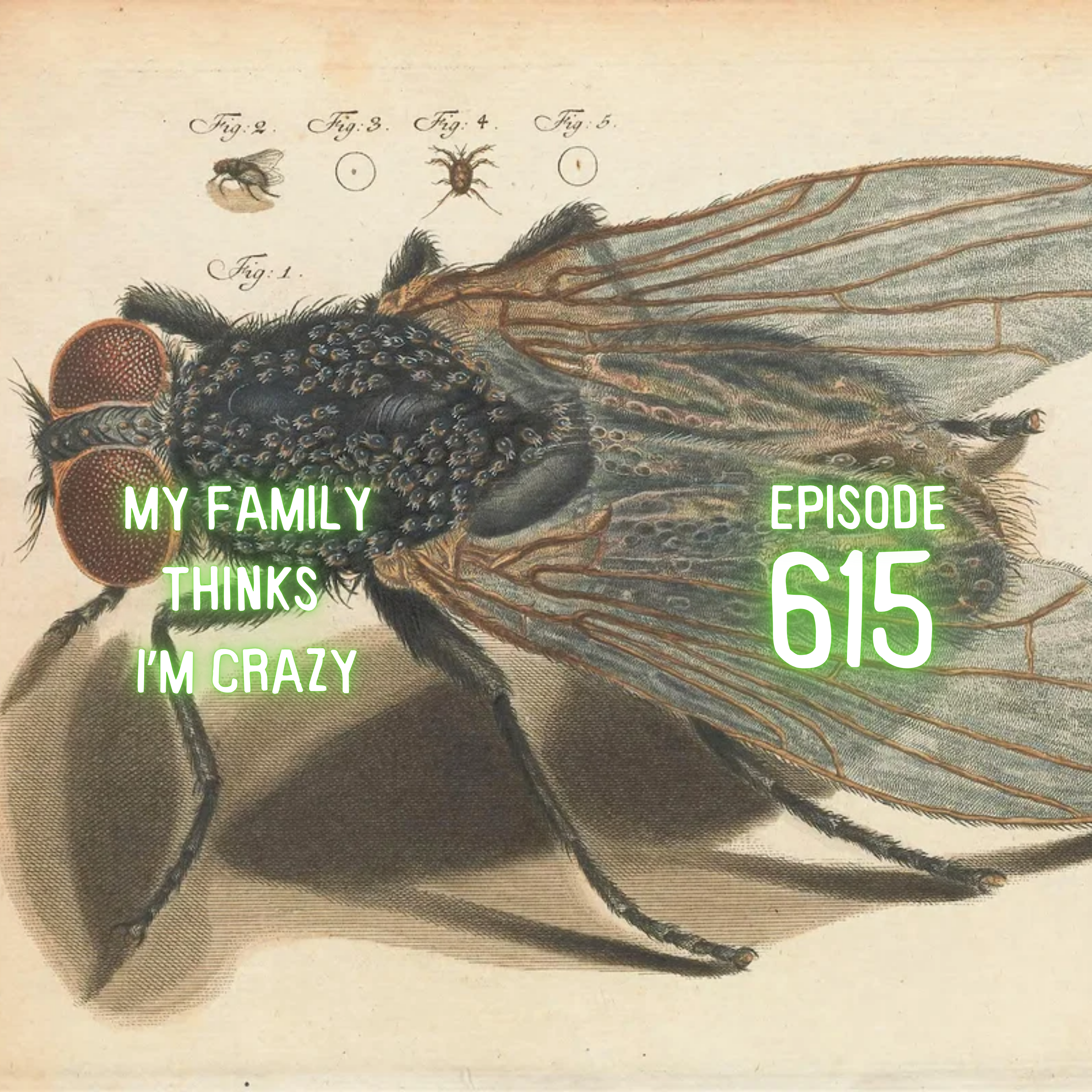 Podcast Panel Weighs AI Egregores, Viral Memes and the Ethics of the Fly Zombie Brain
